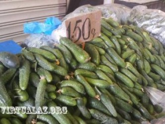 Bakı bazarlarında Zirə xiyarının kiloqramı 10 manata satılı