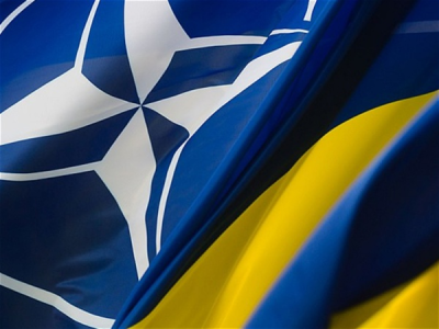 Hansı ölkələr Ukraynanın NATO-ya üzvlüyünü dəstəkləyir?