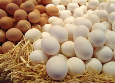 Yumurtanın qiyməti niyə bahalaşır? - Ekspert səbəbləri açıqladı