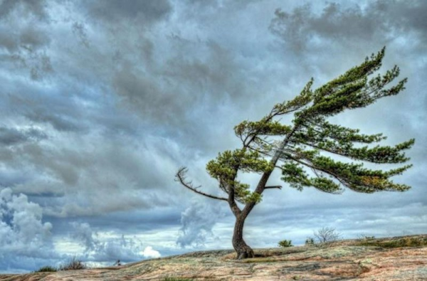 Hava yenidən pisləşəcək — XƏBƏRDARLIQ