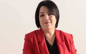 Jurnalist Şahnaz Bəylərqızı saxlanılıb