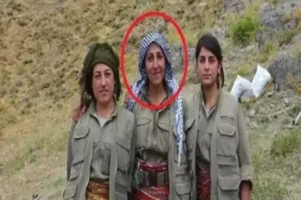 PKK-nın iki əsas üzvü məhv edilib