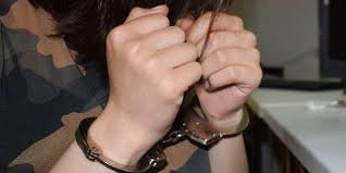 Sərxoş qadın iranlı TIR sürücüsünü qarət edib- Lənkəranda hadisə