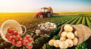 Öz torpağında kənd təsərrüfatı ilə məşğul olanlar üçün sosial sığorta haqqı artırılıb