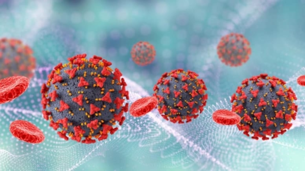 TƏCİLİ XƏBƏRDARLIQ: Dəhşətli virus AŞKARLANDI - Dərmanı və peyvəndi YOXDUR