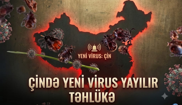 Çində yeni təhlükəli virus yayılır – 15 əyalətdə aşkarlanıb, insanlara da keçib
