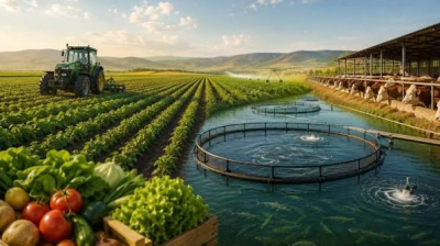Aqrar sahədə mühüm yeniliklər olacaq: Detallar açıqlandı